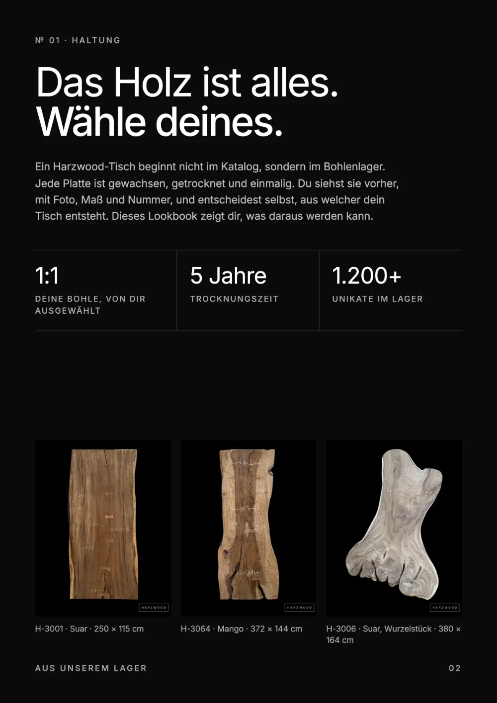 Lookbook Seite 2: № 01 · HALTUNG Das Holz ist alles.