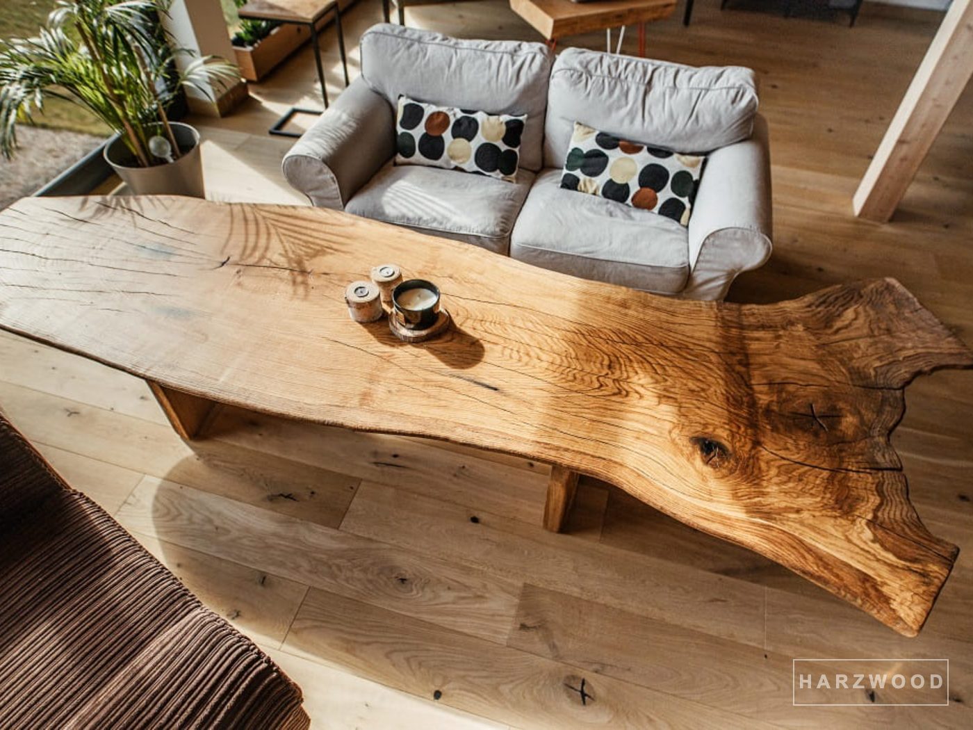 Couchtisch aus einer freigeformten Eichenscheibe auf Holzfuß