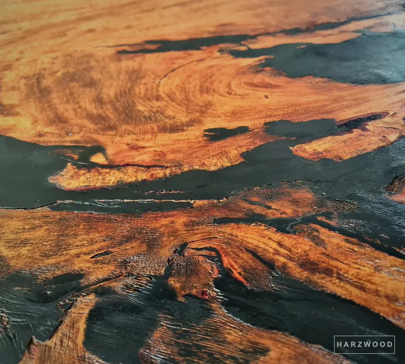 Detail: schwarzes Harz: Tiefschwarzes Harz im Wechsel mit warmem Holz.